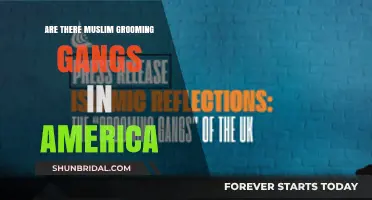 Unveiling the Truth: Muslim Grooming Gangs in America?
