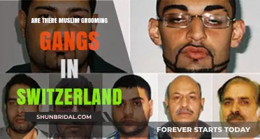 Unveiling the Truth: Muslim Grooming Gangs in Switzerland?