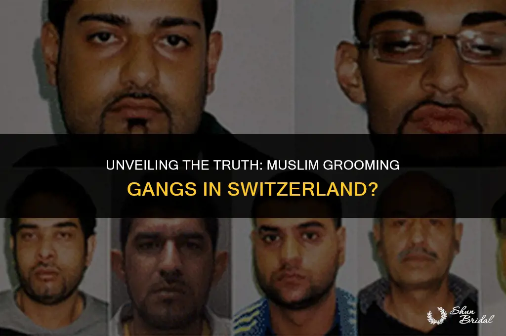 are there muslim grooming gangs in switzerland