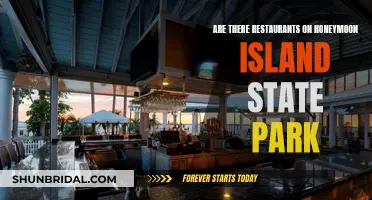 Honeymoon Island State Park: Dining Options and More