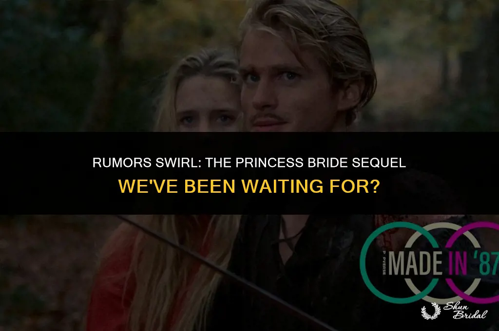 are they making a princess bride 2