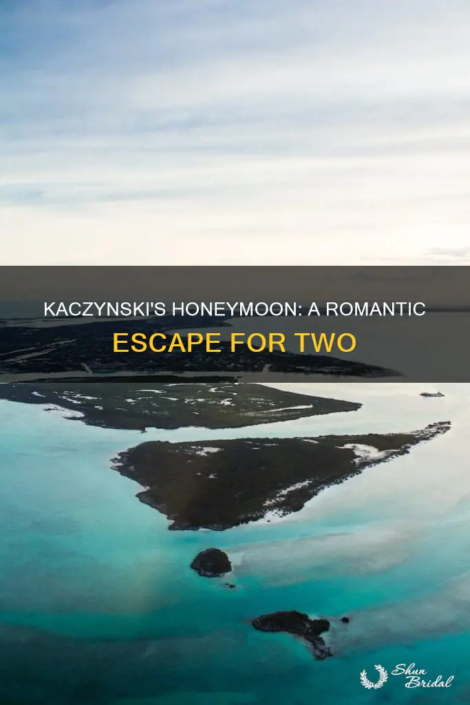 are they planning a honeymoon trip kaczynski