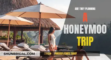 Planning the Perfect Honeymoon: Their Journey Begins