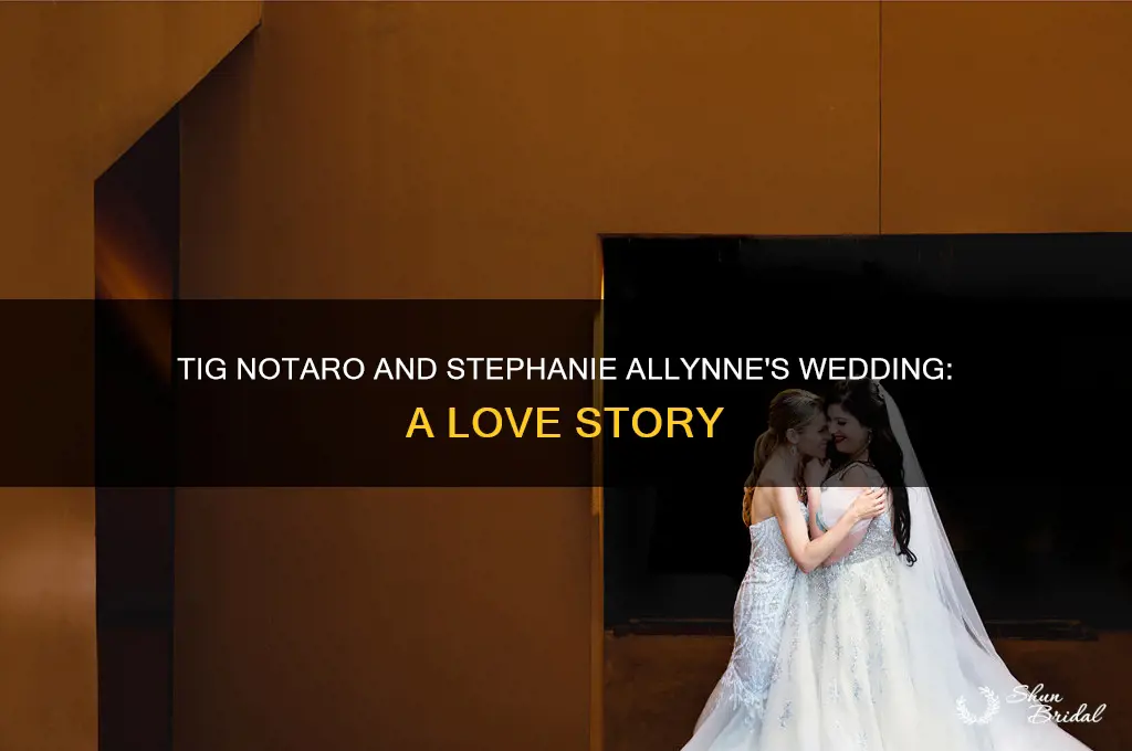 are tig notaro and stephanie allynne wedding