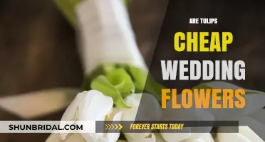 Tulips: Affordable Wedding Flowers?