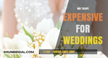 Tulips for Weddings: An Affordable Choice?