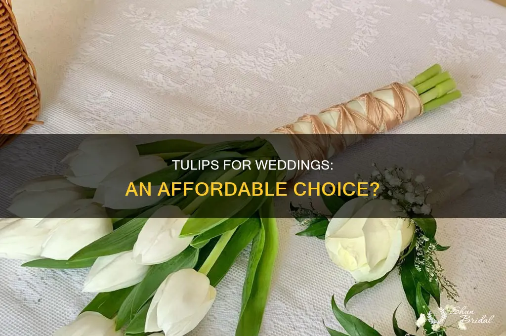 are tulips expensive for weddings