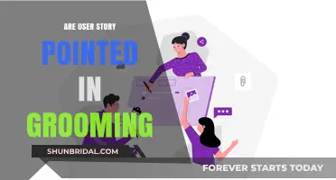 Unveiling the Truth: User Stories in Grooming Explained