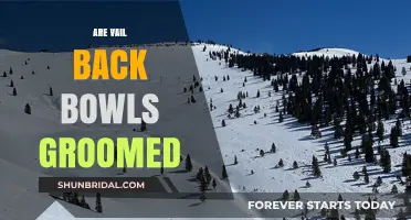 Exploring Vail's Back Bowls: Groomed Trails vs. Ungroomed Terrain
