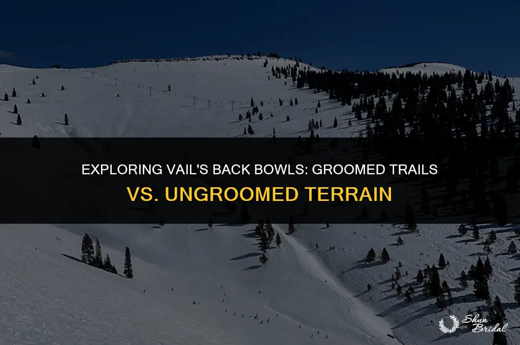 are vail back bowls groomed