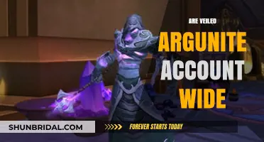 Are Veiled Argunite Account-Wide? Unlocking WoW's Currency Secrets