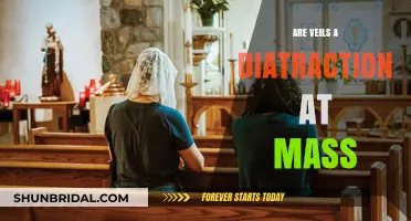 Veils at Mass: Distraction or Sacred Tradition?