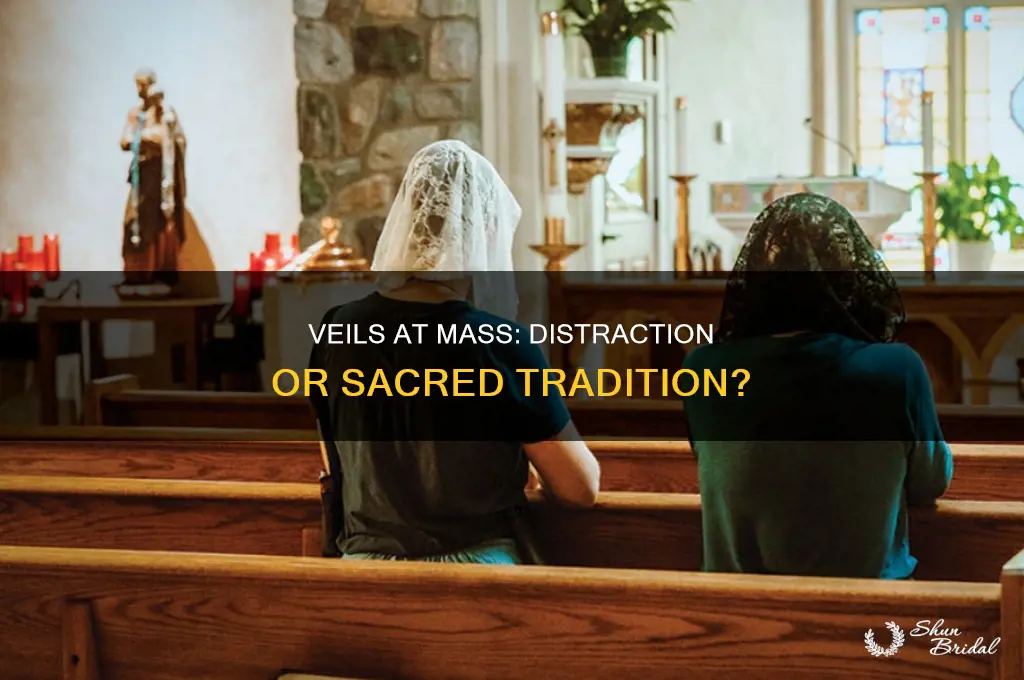 are veils a diatraction at mass