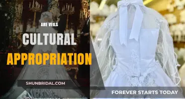 Veils and Cultural Appropriation: Unraveling the Complexities of Tradition