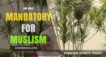 Are Veils Mandatory for Muslims? Exploring Islamic Dress Code Interpretations