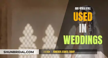 Veil Traditions: Wedding Trends and the Modern Bride