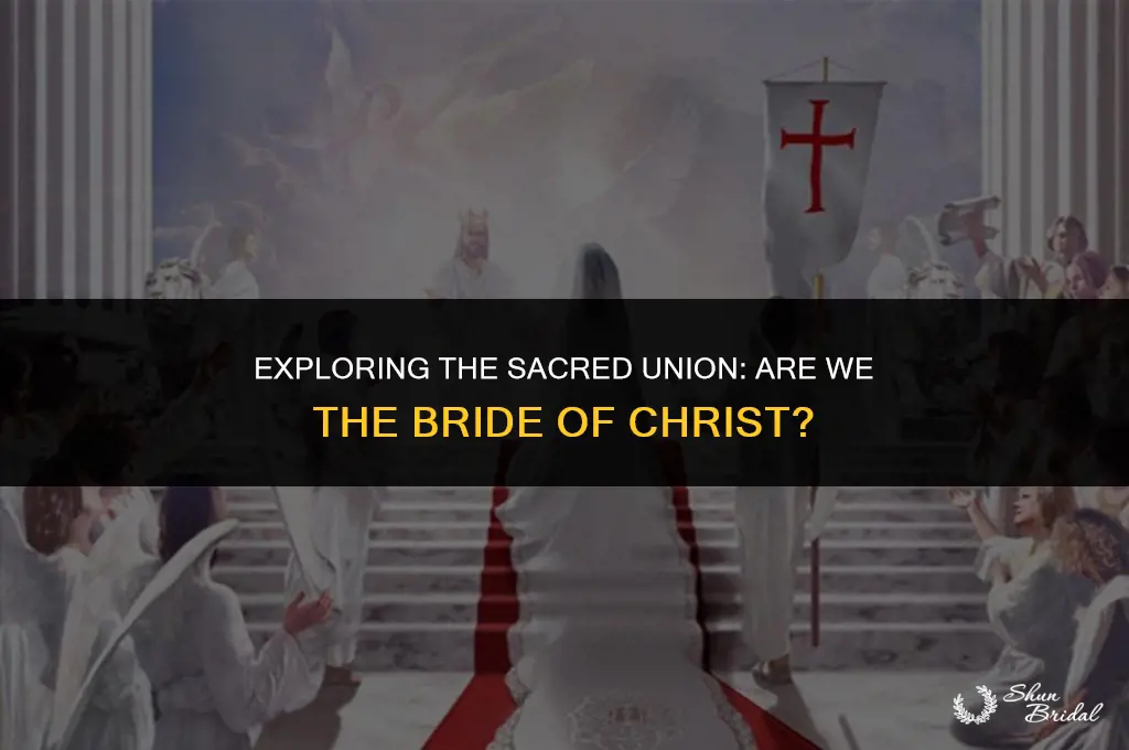 are we the bride of christ