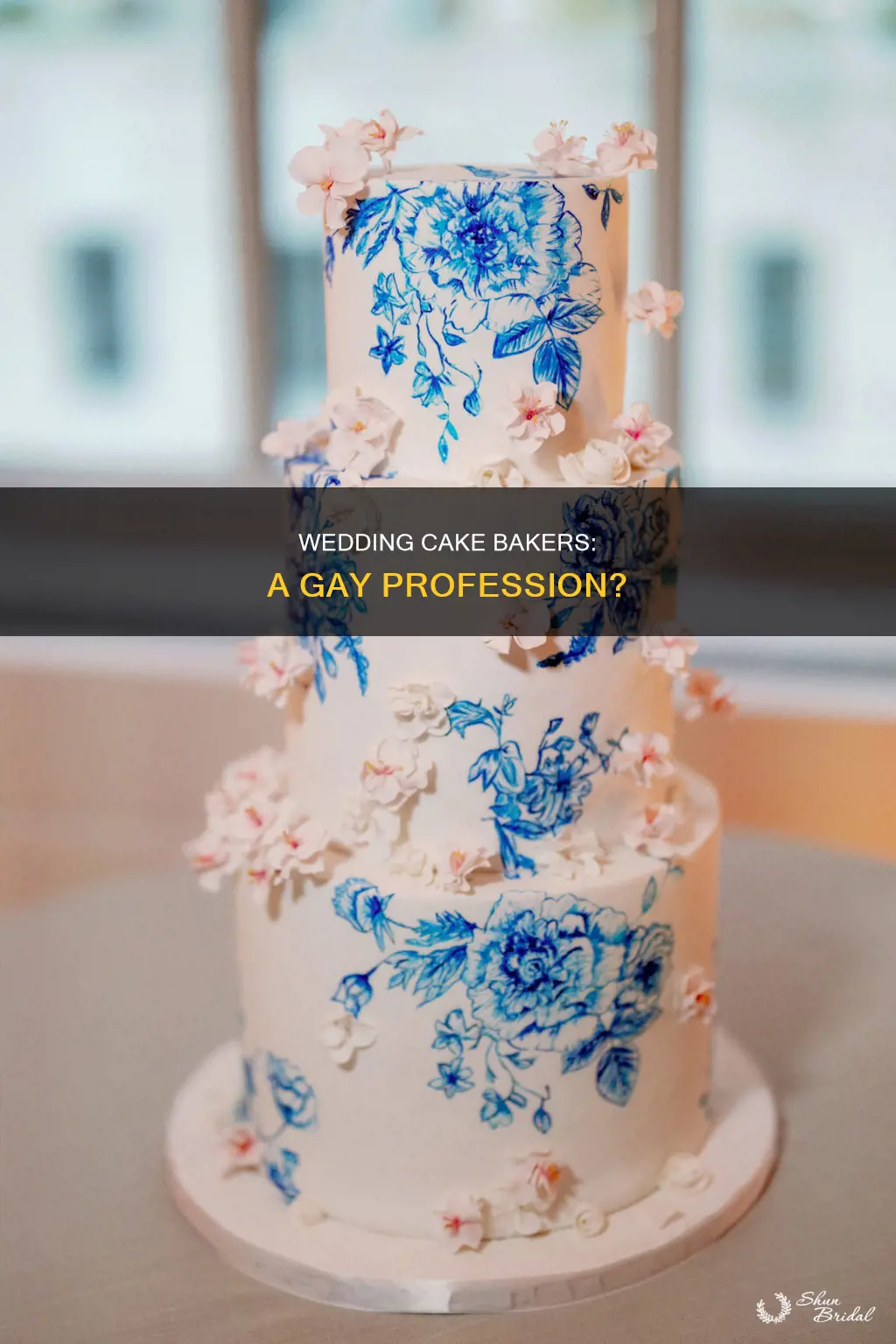 are wedding cake bakers gay