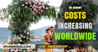 Global Wedding Costs Rising: Trends, Causes, and Financial Impact