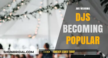 Wedding DJs: A Popular Choice for Nuptial Music