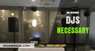 The DJ Debate: Wedding Must-Have or Unnecessary Extra?