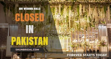 Wedding Woes: Pakistan's Halls Shut Down