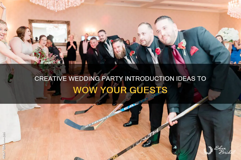 are wedding party introduction ideas