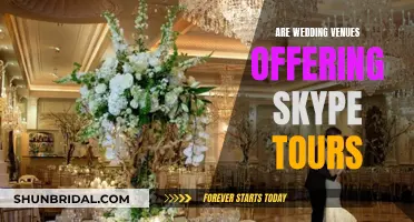 Wedding Venues: Skype Tours Now Available?