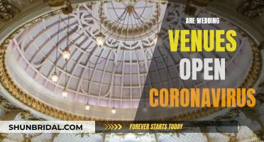 Wedding Venues: Open or Closed During Coronavirus?
