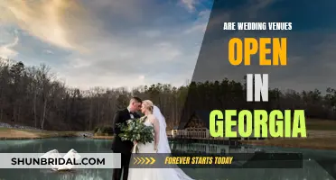 Georgia Wedding Venues: Open for Business?