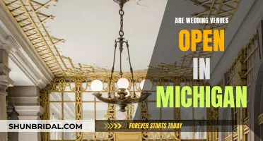 Michigan Wedding Venues: Open for Business?