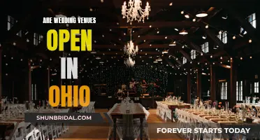 Ohio Wedding Venues: Open for Business?
