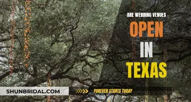 Texas Wedding Venues: Open for Business?
