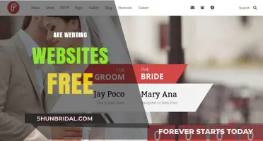 Are Wedding Websites Free? Exploring Cost-Effective Options for Your Big Day