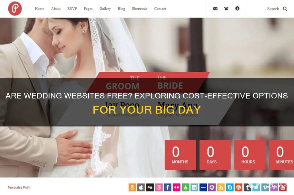 are wedding websites free