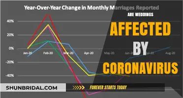 Weddings Amidst COVID-19: Changes, Challenges, and Adaptations