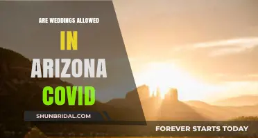 Arizona Weddings: COVID-19 Rules and Regulations
