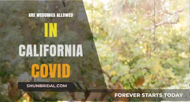 California Weddings: COVID Restrictions and Guidelines