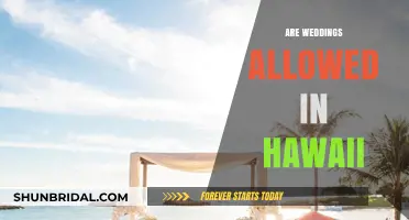 Hawaii Wedding Rules: What You Need to Know