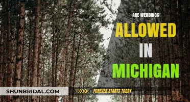 Michigan Weddings: What's Allowed?