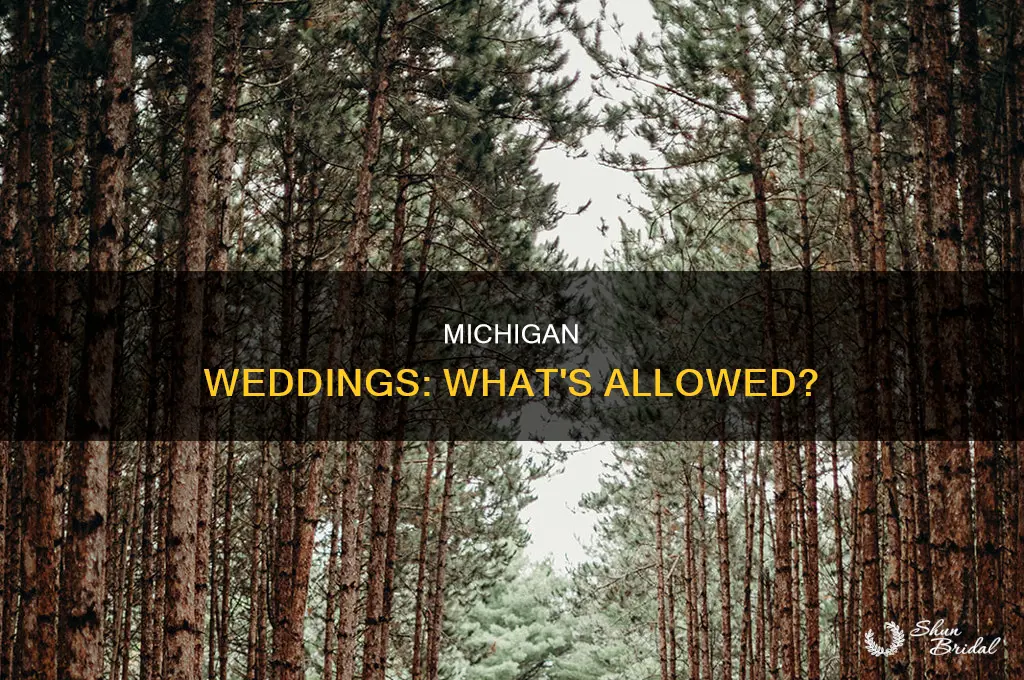 are weddings allowed in Michigan