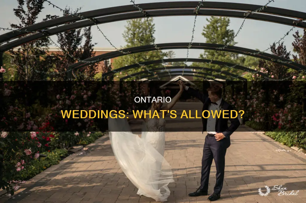 are weddings allowed in ontario