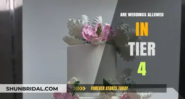 Tier 4 Wedding Woes: Can I Still Get Married?