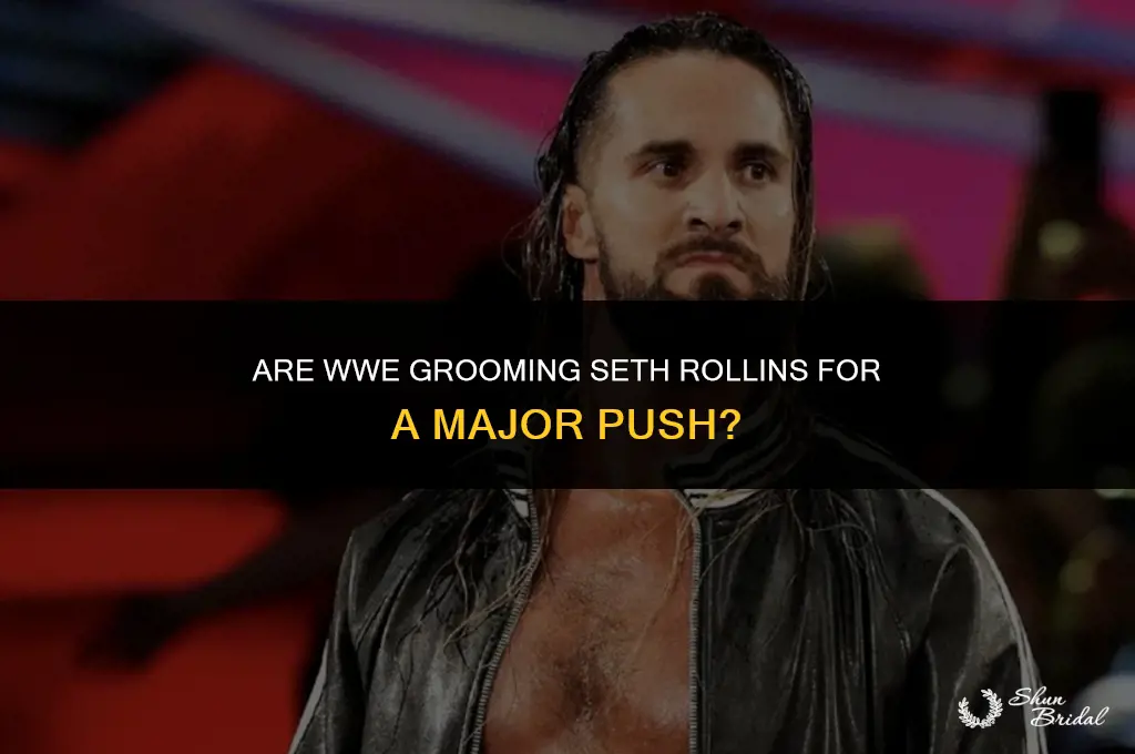 are wwe grooming seth rollins