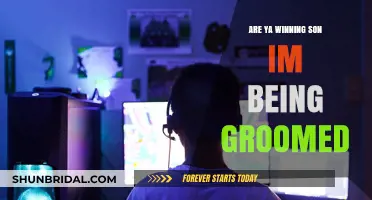 Unveiling the Harsh Reality: Grooming in the Digital Age