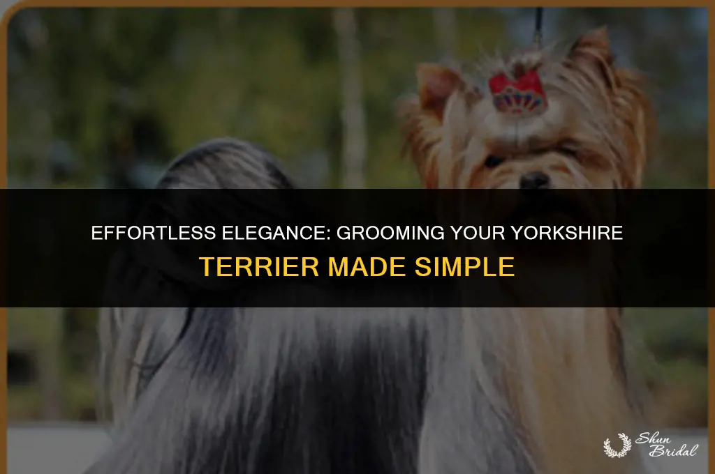 are yorkshire easy to groom