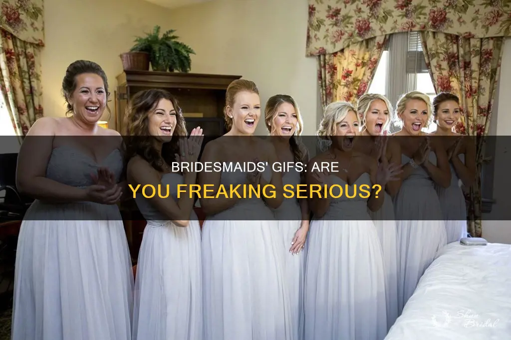 are you fucking kidding me bridesmaids gif