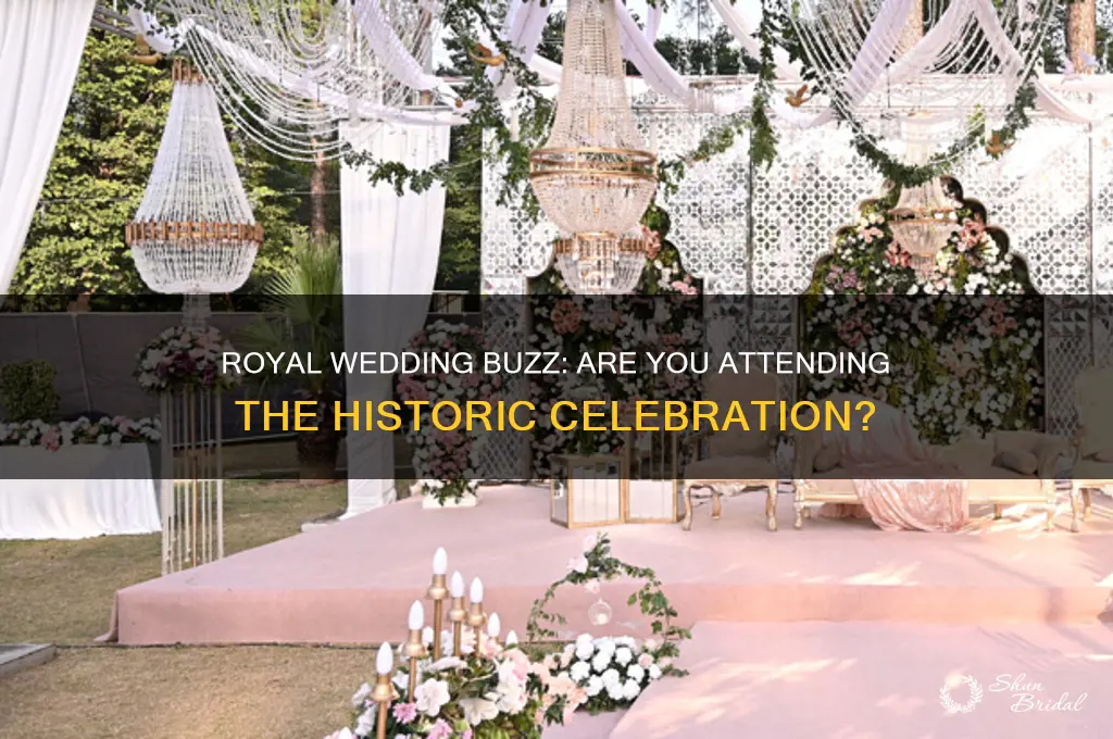 are you going to the royal wedding