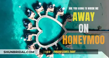 Whisking Away on Honeymoon: A Dream Come True
