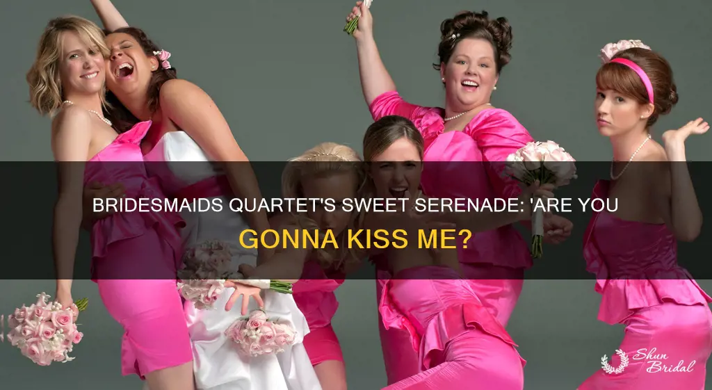 are you gonna kiss me or not by bridesmaids quartet